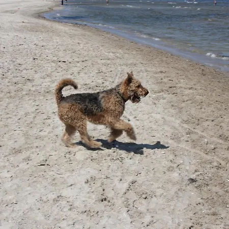 Hafenkiek 55 Exklusiv Wohnen Am Yachthafen *