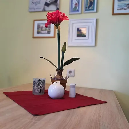 Hafenkiek 55 Exklusiv Wohnen Am Yachthafen * Karlshagen