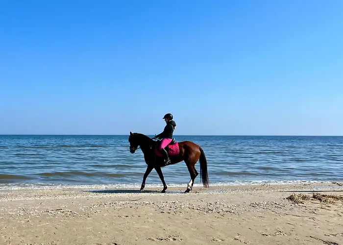 Hafenkiek 55 Exklusiv Wohnen Am Yachthafen Karlshagen